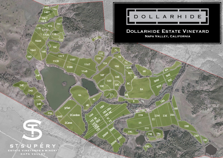 Dollarhide Estate Vineyard Map