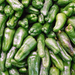 Blistered Padron Peppers