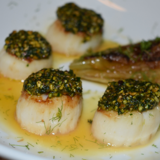 Pistachio Crusted Scallops with a Grapefruit and Saffron Gastrique and Braised Fennel
